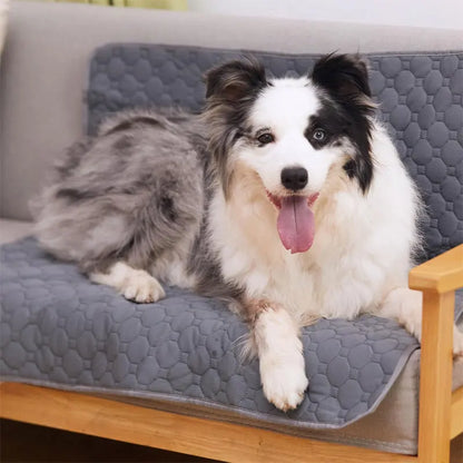 Forro Absorvente Reutilizável para Xixi - Impermeável e Lavável